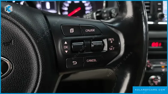 KIA CARNIVAL 9-SEATER LUXURY