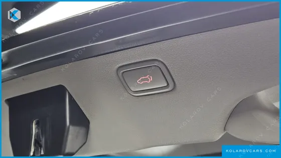 KIA CARNIVAL 7-SEATER LIMOUSINE
