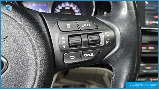 KIA CARNIVAL 9-SEATER NOBLESSE