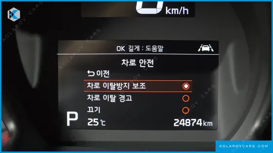 KIA RAY SIGNATURE