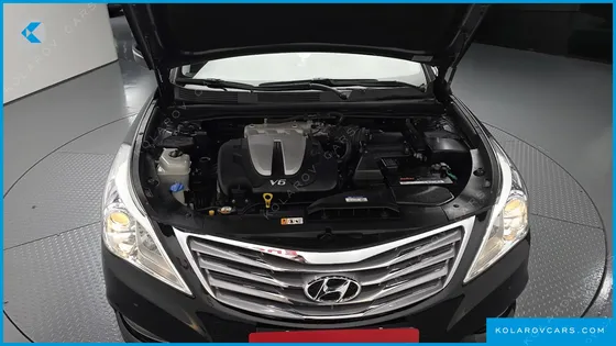 HYUNDAI GRANDEUR LPG HG300 HANDICAPPED ONLY