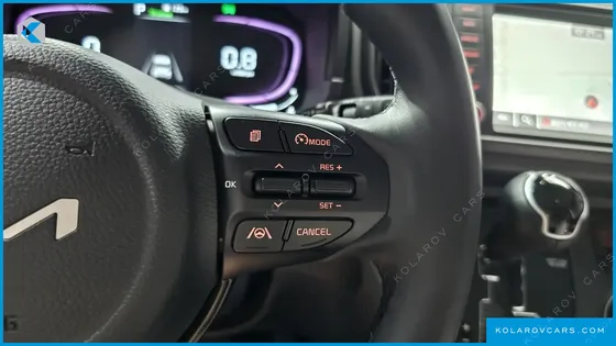 KIA RAY SIGNATURE