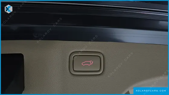 KIA CARNIVAL 9-SEATER HI-LIMOUSINE