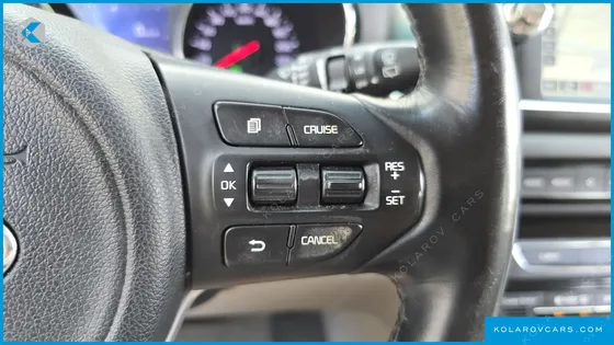 KIA CARNIVAL 9-SEATER LUXURY