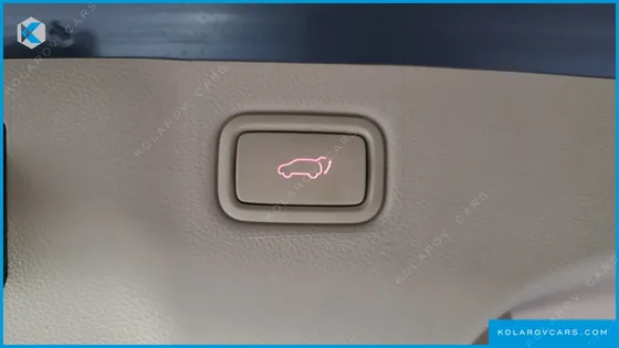 KIA CARNIVAL 9-SEATER NOBLESSE SPECIAL