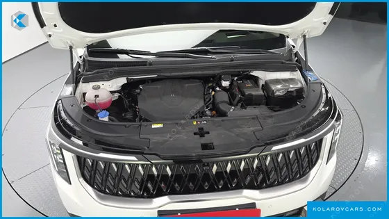 KIA CARNIVAL DIESEL 9-SEATER HI LIMOUSINE (SPECIAL VEHICLE)