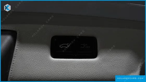 KIA CARNIVAL DIESEL 9-SEATER HI LIMOUSINE (SPECIAL VEHICLE)