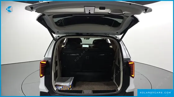 KIA CARNIVAL DIESEL 9-SEATER HI LIMOUSINE (SPECIAL VEHICLE)