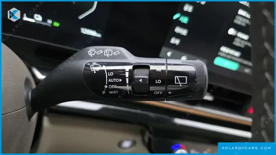KIA CARNIVAL HEV 7-SEATER HI LIMOUSINE