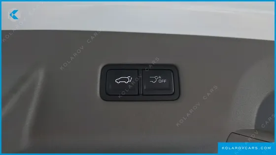 KIA CARNIVAL HEV 7-SEATER HI LIMOUSINE