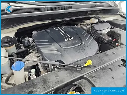 KIA CARNIVAL GASOLINE 9-SEATER LIMOUSINE(SPECIAL VEHICLE)