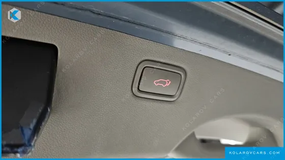 KIA CARNIVAL 9-SEATER PRESTIGE