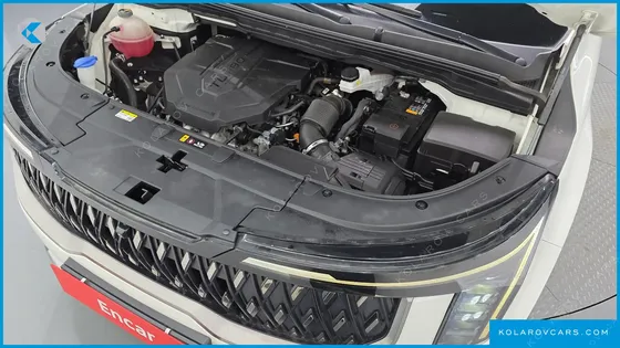 KIA CARNIVAL DIESEL 9-SEATER SIGNATURE