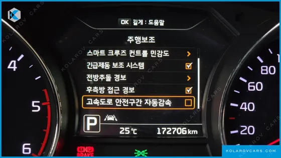 KIA CARNIVAL 9-SEATER HI-LIMOUSINE