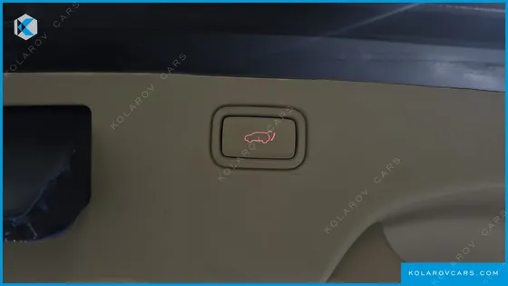 KIA CARNIVAL 9-SEATER HI-LIMOUSINE