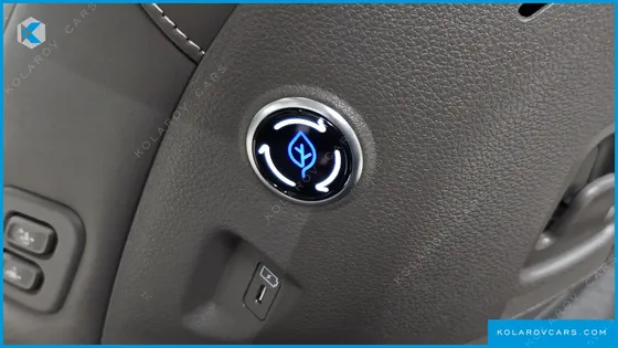 KIA CARNIVAL GASOLINE 9-SEATER GRAVITY
