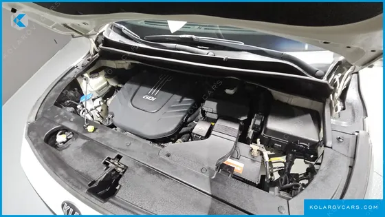 KIA CARNIVAL GASOLINE 9-SEATER HI-LIMOUSINE