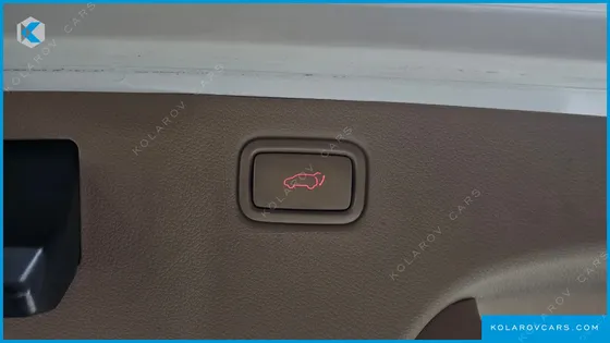 KIA CARNIVAL 9-SEATER NOBLESSE