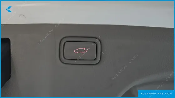KIA CARNIVAL 9-SEATER NOBLESSE