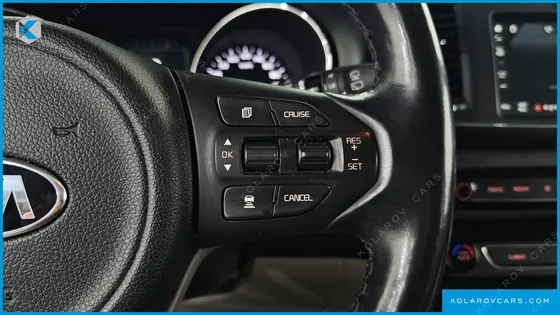KIA CARNIVAL 9-SEATER LUXURY