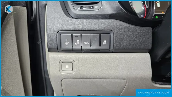 KIA CARNIVAL 9-SEATER LUXURY