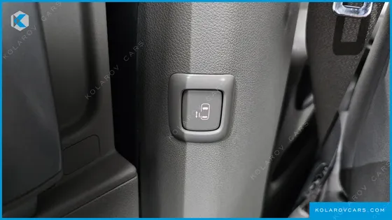 KIA CARNIVAL 9-SEATER LUXURY