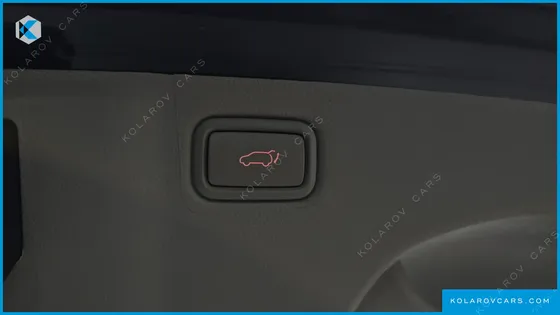 KIA CARNIVAL 9-SEATER NOBLESSE
