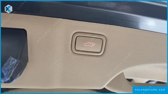 KIA CARNIVAL 9-SEATER HI-LIMOUSINE