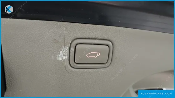KIA CARNIVAL 9-SEATER NOBLESSE