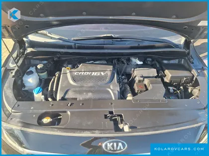 KIA CARNIVAL 9-SEATER LUXURY
