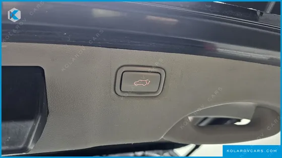 KIA CARNIVAL GASOLINE 9-SEATER NOBLESSE