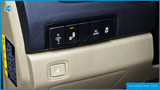 KIA CARNIVAL 9-SEATER NOBLESSE