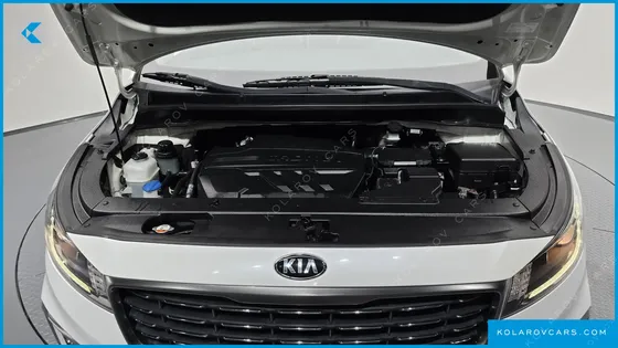 KIA CARNIVAL 9-SEATER LUXURY