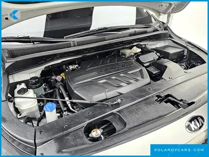 KIA CARNIVAL 9-SEATER LUXURY