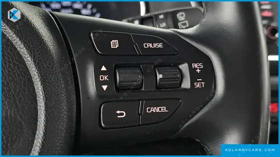 KIA CARNIVAL 9-SEATER LUXURY