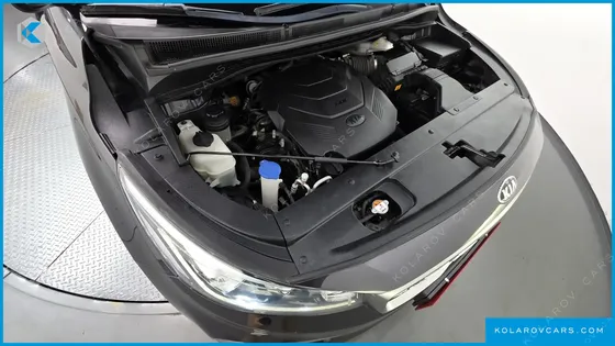 KIA CARNIVAL GASOLINE 9-SEATER NOBLESSE SPECIAL