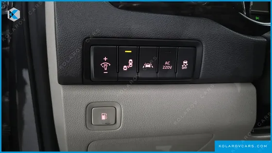 KIA CARNIVAL GASOLINE 9-SEATER NOBLESSE SPECIAL