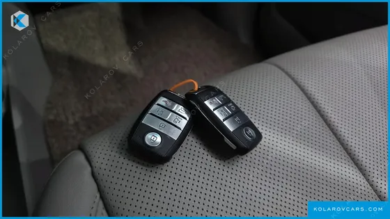 KIA CARNIVAL GASOLINE 9-SEATER NOBLESSE SPECIAL