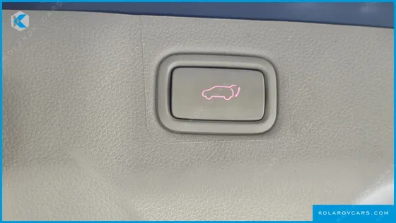 KIA CARNIVAL 9-SEATER NOBLESSE