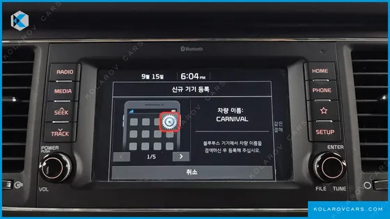 KIA CARNIVAL 9-SEATER LUXURY