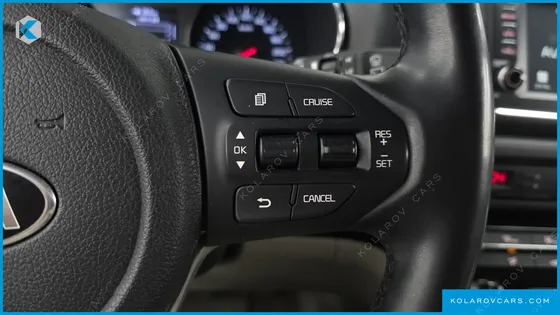 KIA CARNIVAL 9-SEATER LUXURY