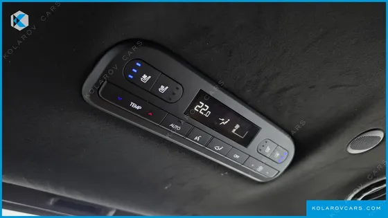 HYUNDAI PALISADE HEV 2.5T 4WD 9-SEATER