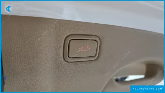KIA CARNIVAL 9-SEATER NOBLESSE SPECIAL