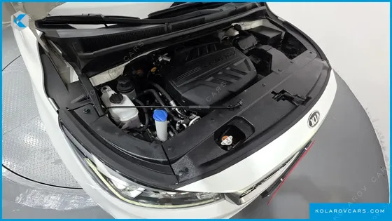 KIA CARNIVAL 9-SEATER PRSTIGE