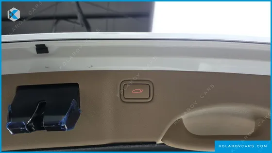 KIA CARNIVAL 9-SEATER NOBLESSE SPECIAL