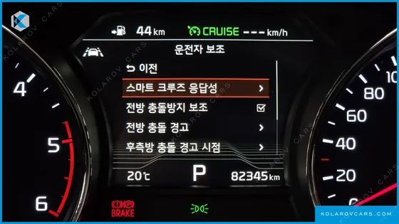 KIA CARNIVAL 9-SEATER NOBLESSE SPECIAL