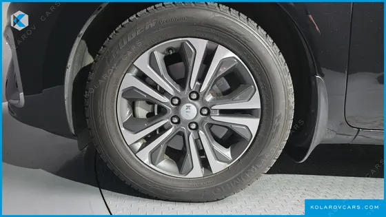 KIA CARNIVAL 9-SEATER LUXURY