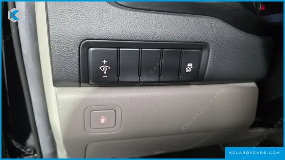 KIA CARNIVAL 9-SEATER LUXURY
