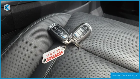 HYUNDAI GRANDEUR 3.0 LPI EXCLUSIVE (RENTAL CAR)