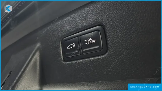 KIA CARNIVAL GASOLINE 9-SEATER SIGNATURE